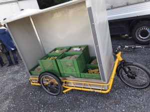 IMG-20171020-WA0007